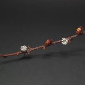 Pendientes mini con forma de flor de plata de la colección Brotes de haya, brotes de Vida, presentados sobre una rama en fotografía de estudio.